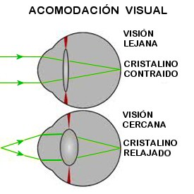 Acomodación visual