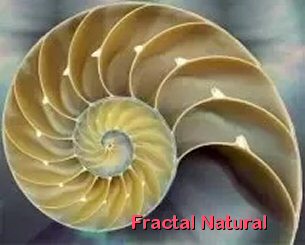 Fractal natural