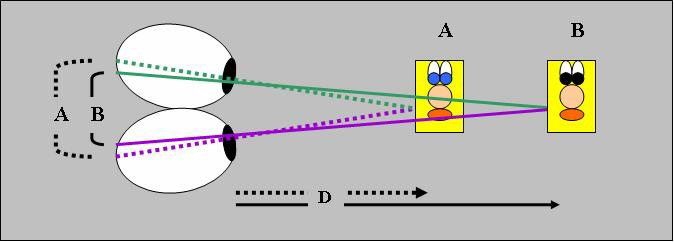 Técnica de la triangulación o paralaje